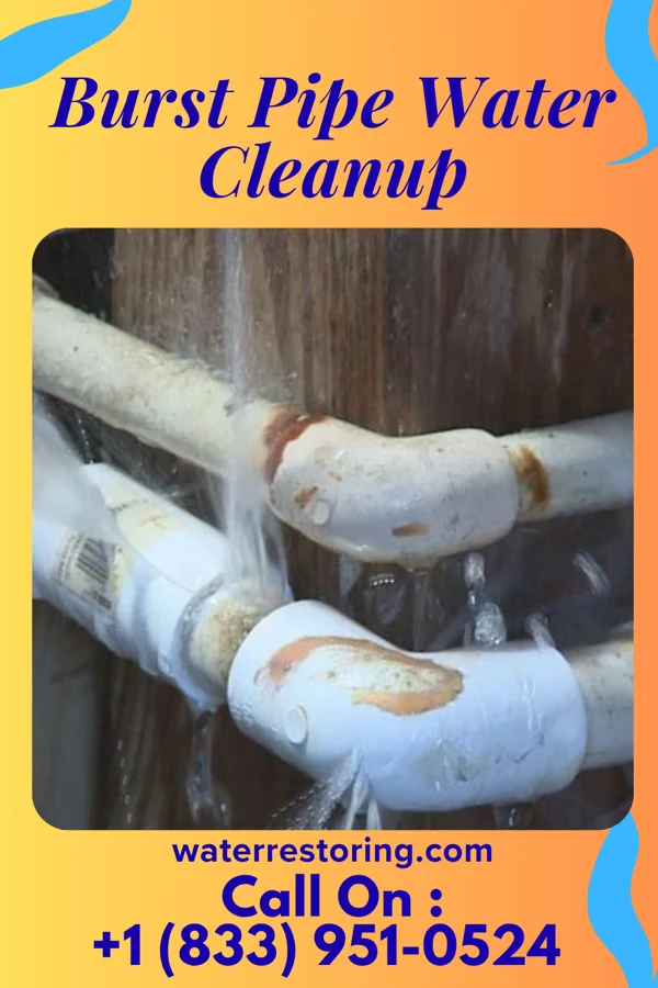 Burst Pipe Water Cleanup in Newell, PA