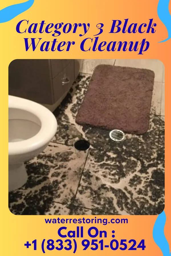 Category 3 Black Water Cleanup in Newell, PA