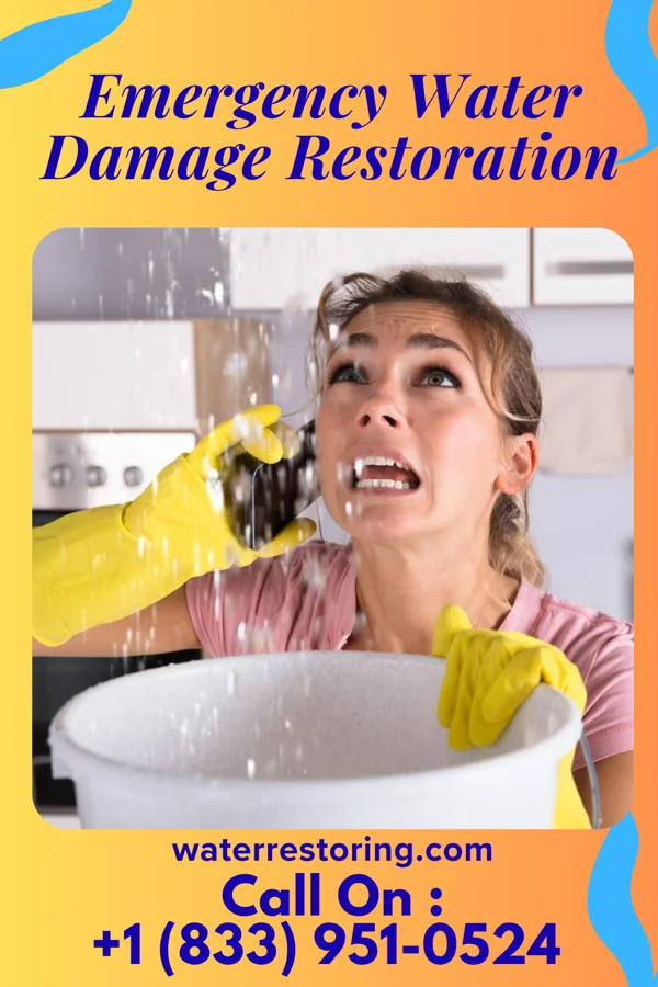 Emergency Water Damage Restoration in Newell, PA