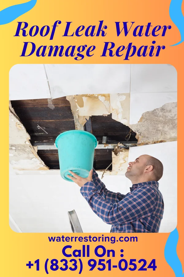 Roof Leak Water Damage Repair in Newell, PA