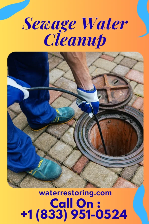 Sewage Water Cleanup in Newell, PA